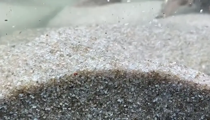 Black Aquarium Sand