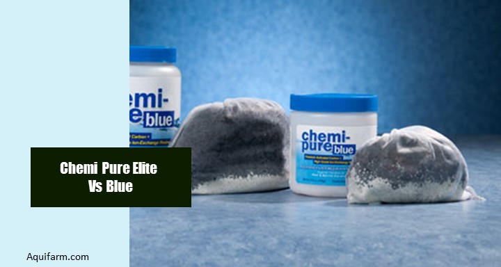 Chemi Pure Elite Vs Blue