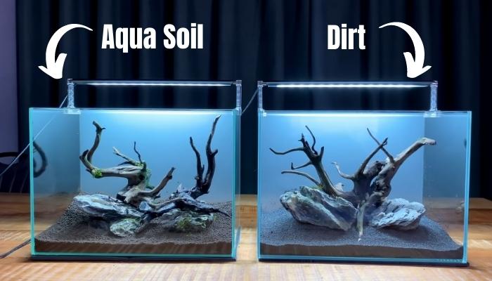 Comparison Between Aqua Soil and Dirt