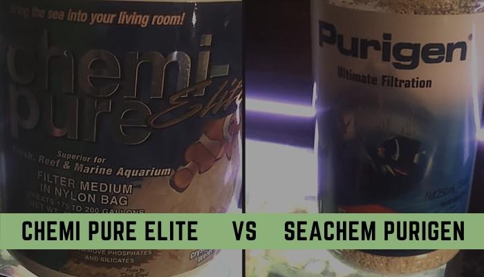 Chemi Pure Elite vs Purigen