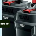 Fluval 207 Vs 307
