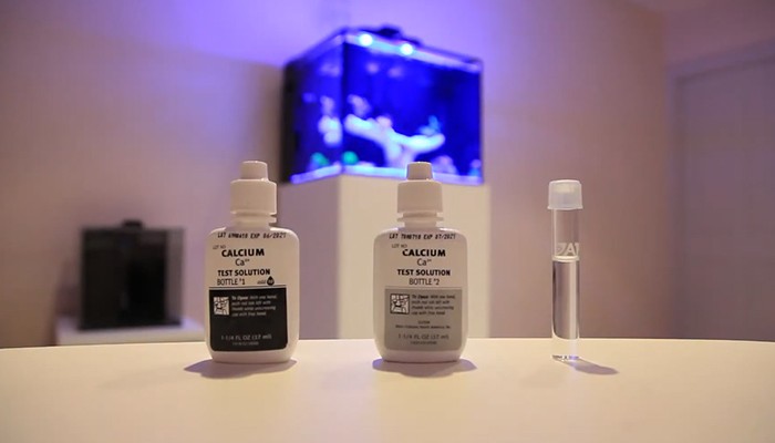 check calcium level with API test kit in aquarium