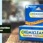 Chemiclean vs Red Slime Remover