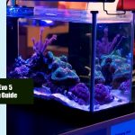 Fluval Evo 5 Stocking Guide