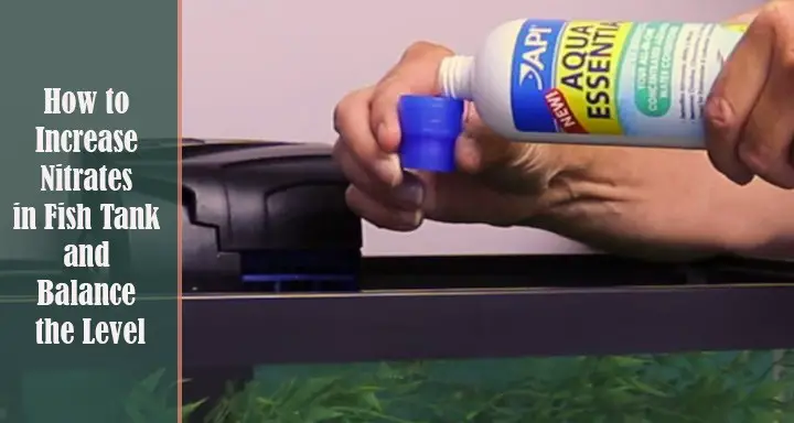 How to Increase Nitrates in Fish Tank