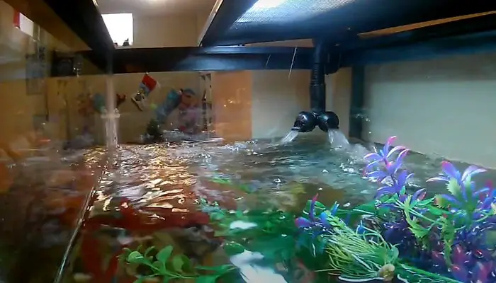 Fluval FX4 water output flow