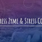 Stress Coat or Stress Zyme