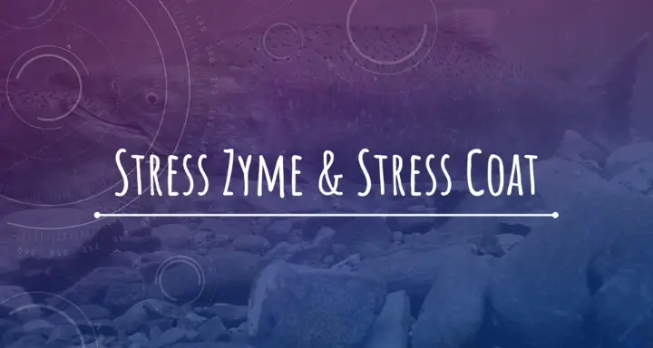 Stress Coat or Stress Zyme