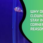 Why Do My Clownfish Stay In the Corner