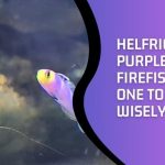 Helfrichi vs Purple Firefish