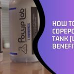 How To Add Copepods To Tank