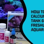  How to Lower Calcium in Reef Tank & Freshwater Aquarium