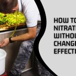 How to Lower Nitrates Without Water Change