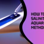 How to Lower Salinity in Aquarium