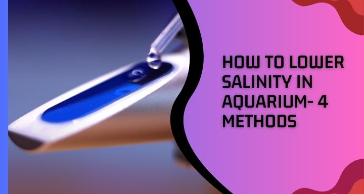 How to Lower Salinity in Aquarium