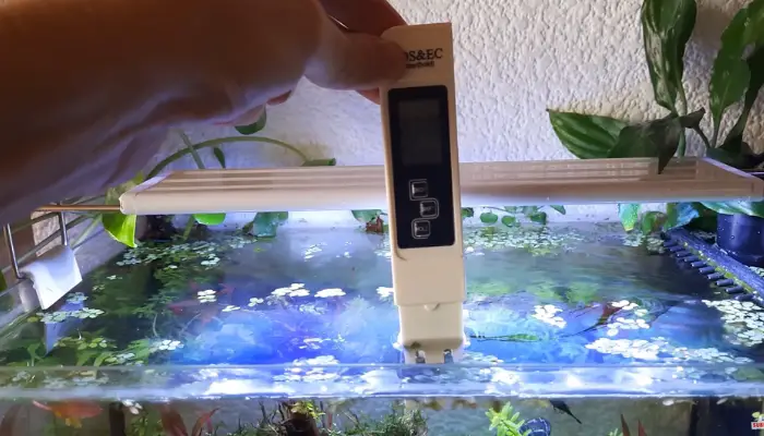 Easy TDS Reduction in Fish Tank