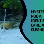 Mystery Snail Poop Identification