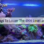 Best Ways To Lower The dKH Level