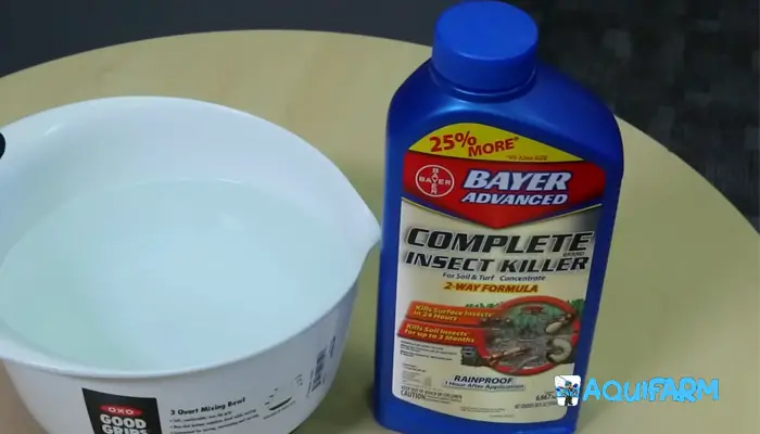 Bayer