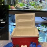 How to Raise Phosphate in Reef Tank