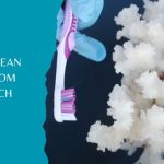 How to Clean Coral From Beach