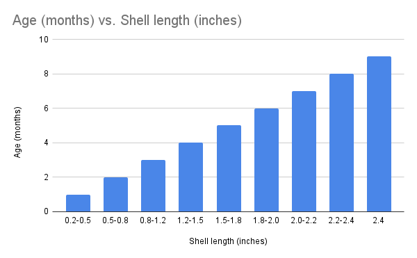 Age months vs. Shell length inches