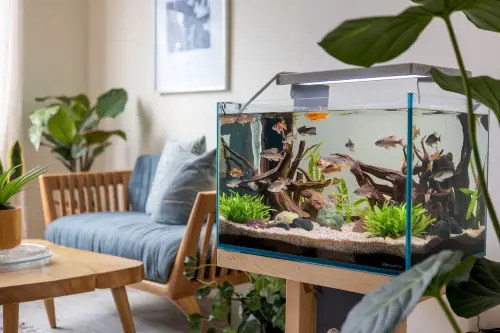 Themed Aquarium