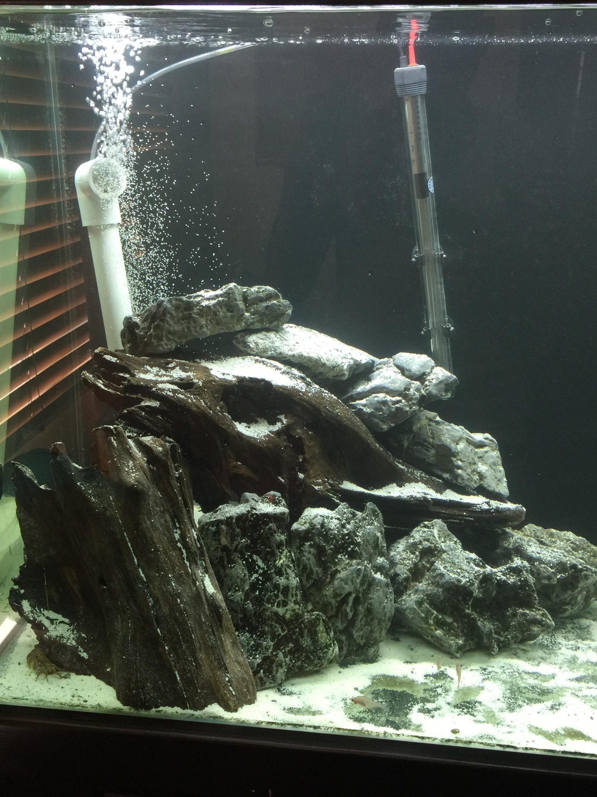 Sandfall Aquarium